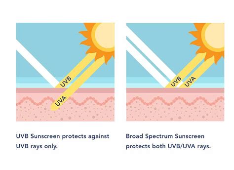 Facts About Sunscreen Mineral Vs Chemical Sunscreen Tropicsport
