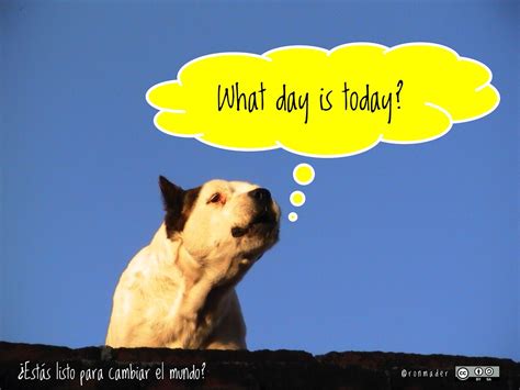 What Day Is Today ¿qué Día Es Hoy Roofdog What Day Is Flickr