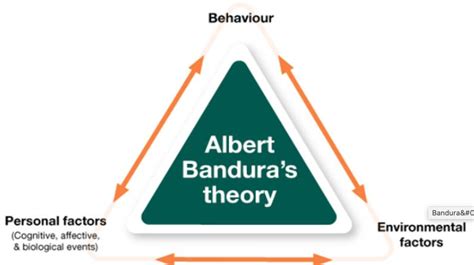 Banduras Model Bandura S Principles Of Social Learning Theory