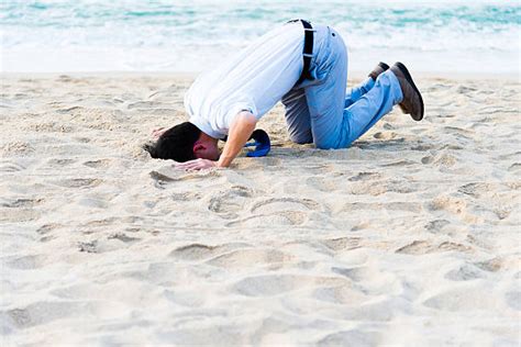 Head In The Sand Pictures Images And Stock Photos Istock