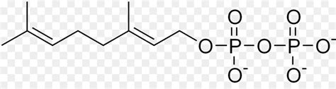 Farnesyl Pirofosfat Pirofosfat Geranyl Pirofosfat Gambar Png