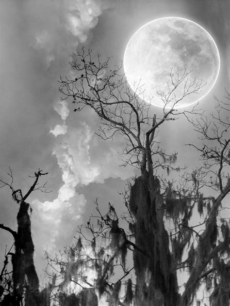 Mystical Moon Digital Art By Elaine Ferrell