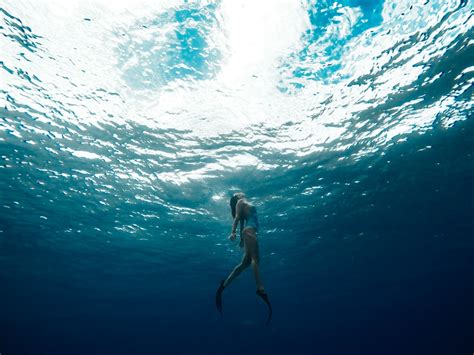 Underwater looking up photos and images. woman swimming underwater photo - Free Ocean Image on Unsplash
