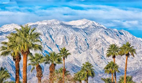 Snowcapped Mountains Desert Palm Springs Palm Trees California Stock