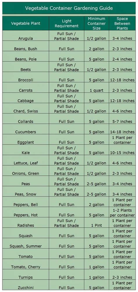 Data and charts, if used, in the article have been sourced from available information. Patio Gardening 101 | COZY LITTLE HOUSE