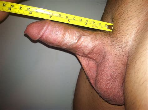 Average Penis Photo The Average Erect Penis Is 13 2cm 5 16 Inches