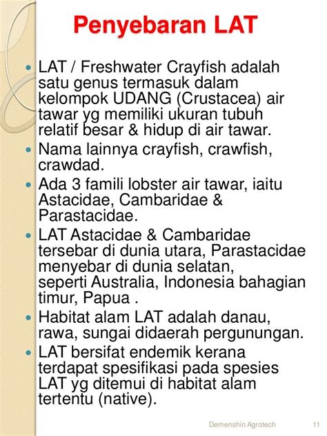 Hal yang paling utama dan pertama sekali yang perlu dipersiapkan tandon sebagai penampung air. Pin on Lobster air tawar