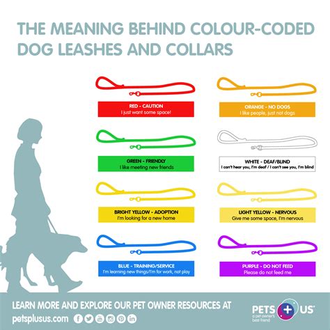 Colour Coded Dog Leashes And Collars Whats The Meaning