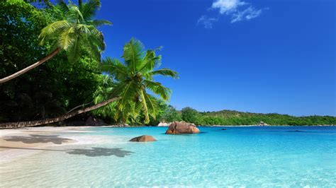 2560x1440 Beach Ocean Sand Coast Sky Paradise Summer Sunshine Emerald Blue Palm Sea