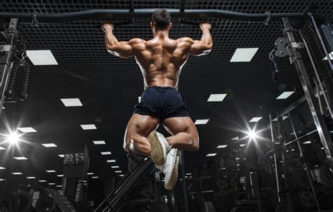 Wallpaper Back, muscle, muscle, Back, workout, gym, gym ...