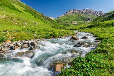 The Brook In Summer Alpine Steppe Stock Photo Image Of Steppe