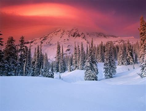 Mt Rainier Sunset In Winter Winter Wonderland Pinterest