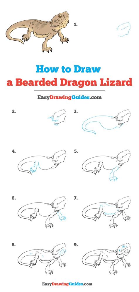 Drawing A Bearded Dragon Step By Step Warehouse Of Ideas