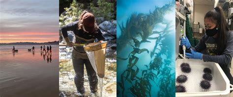 California Sea Grant Announces Newly Funded Research Prioritizing