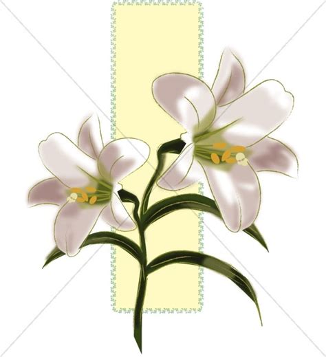 Easter Lily Clipart Free Download On Clipartmag