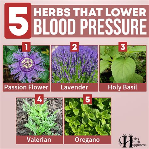 5 Herbs That Lower Blood Pressure Herbs Health And Happiness