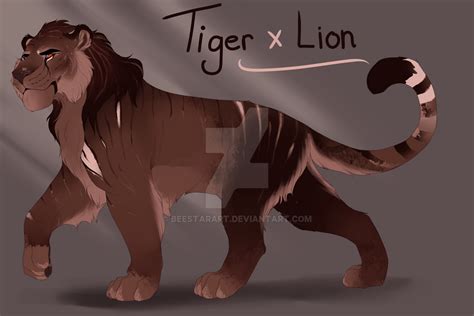 Tiger X Lion Design Auction Closed By Beestarart On Deviantart