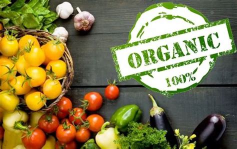 Organic Vegetables At Rs 50kg Organic Vegetable Id 16905889088