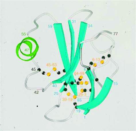 Subversion of the innate immune response by micro-organisms | Annals of
