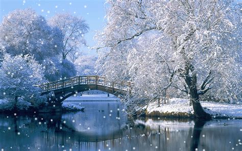 We did not find results for: Winter In Central Park - Let It Snow on Make a GIF