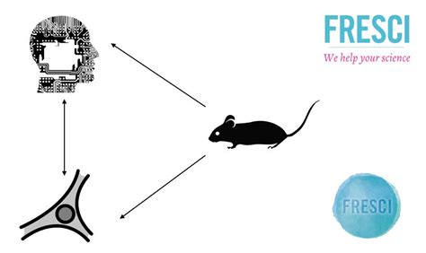 Non-Animal Methods: A European Mission!