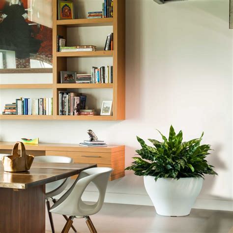12 Extra Large Low Bowl Planters for Stunning Plant Designs - ePlanters