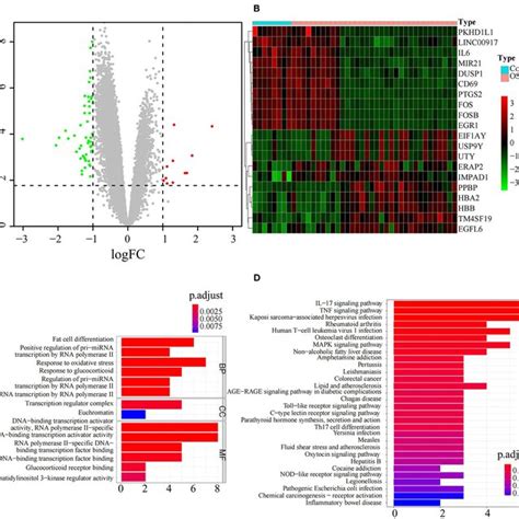 Identification And Functional Analysis Of Differentially Expressed