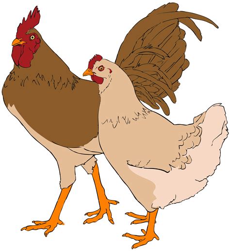 Muscle Clipart Rooster Muscle Rooster Transparent Free For Download On