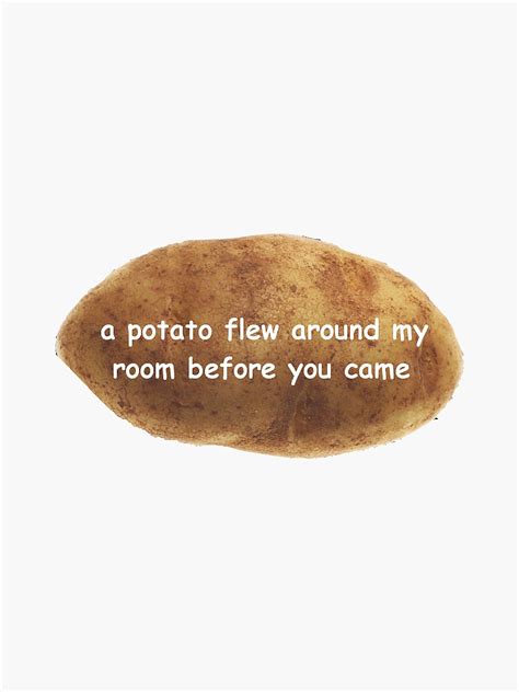 Chords for a potato flew around my room. "a potato flew around my room before you came" Sticker by ...