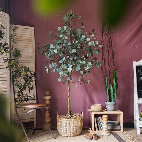 We did not find results for: Artificial Eucalyptus Tree | Eucalyptus tree, Potted trees ...