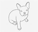 Pngkey Bulldogs Kidadl sketch template