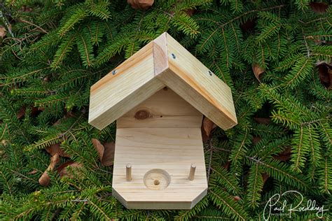 How To Build A Hummingbird Nest Kobo Building