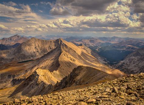Colorado Urban Wildlife Photo Club