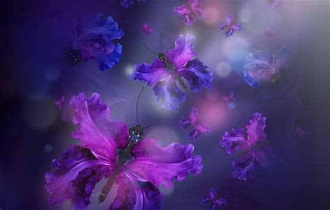 Обои бабочки лепестки Water Purple Butterflies Floral картинки на