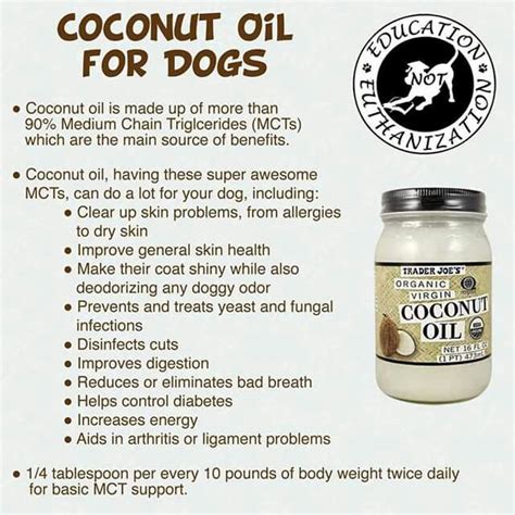 Coconut Oil For Dogs Healthy Coconut Oil Coconut Oil For Dogs Organic