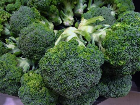 Growing Broccoli In Containers Huntforbest