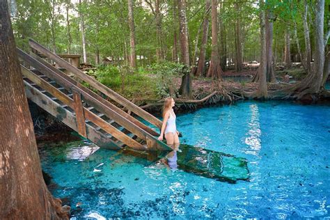 12 Best Natural Springs Near Tampa You Must Visit Florida Trippers