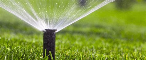 First off, let's clarify why you're and your cause so much confusion. What Is Irrigation And Why Is It Important? (The Complete ...