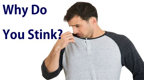 The Real Reason Why You Stink