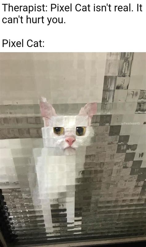 Pixel Cat Rmemes