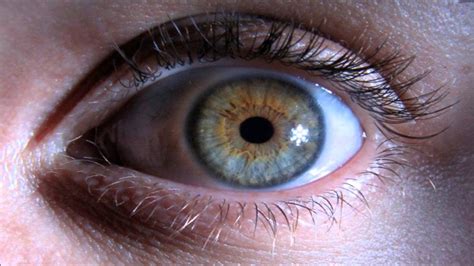 Mensajes Subliminales Para Modificar El Adn Cambiar El Color De Ojos A