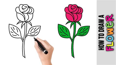 How To Draw A Flower Cute Easy Drawings Tutorial For