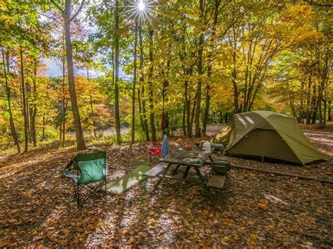 Camping Takes Us Back To Basics As Nature Calls