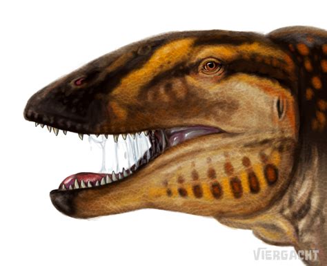 Dinovember Carcharodontosaurus Speedpaint Prehistoric Animals