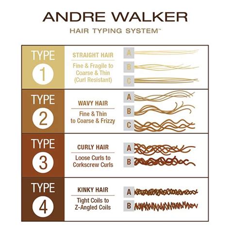 Get with the perfect system. Andre Walker Hair | Hair Products for Natural and Black Hair