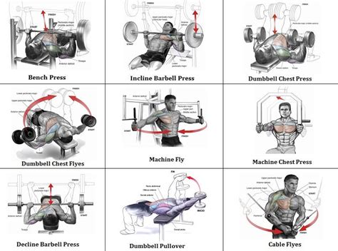 Mass Building Workout - 7 Exercises For an Explosive Chest ...