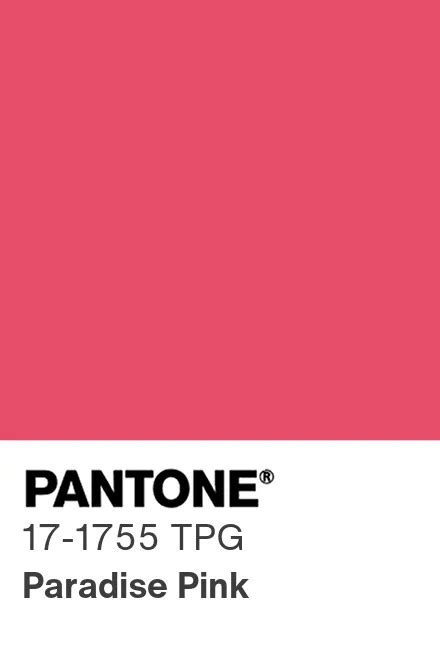 Pantone Deutschland Pantone 17 1755 Tpg Find A Pantone Color