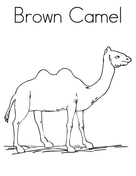 Camels have fat lips which let them eat prickly plants other animals cannot eat. Color Camel - Coloring Home