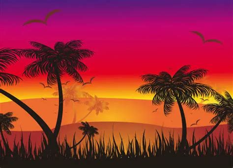 Tropical Sunset Vector