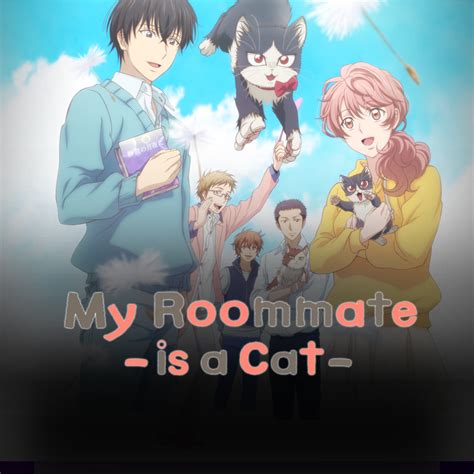 Anime Review My Roommate Is A Cat A Sip Of Sakki